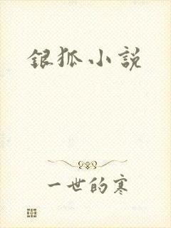 银狐小说