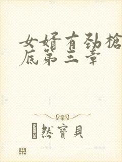 女婿有劲枪枪到底第三章