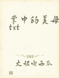 掌中的美母版主txt