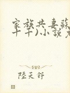 家族共妻苏苏(十千)小说免费