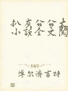 扒灰公公大杂烩小说全文阅读