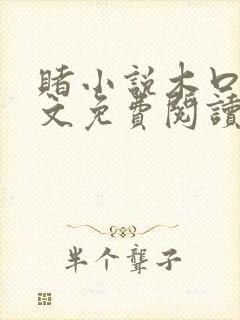 赌小说木口银全文免费阅读笔趣阁