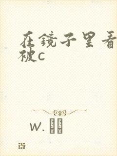 在镜子里看自己被c