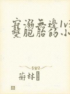 宠溺无边1v3双胞胎的小说