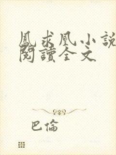 凤求凰小说免费阅读全文