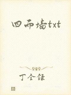 四面墙txt