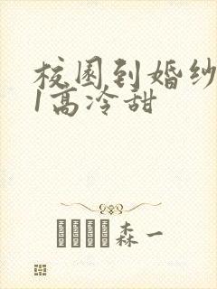 校园到婚纱1V1高冷甜