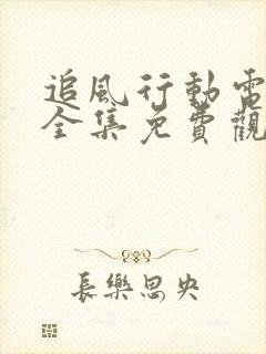 追风行动电视剧全集免费观看