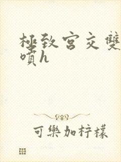 极致宫交双性潮喷h