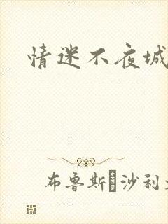 情迷不夜城