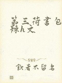 第三荷书包网高辣h文