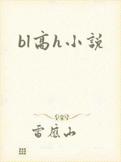 bl高h小说