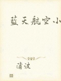 蓝天航空小说