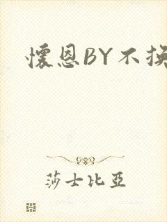 怀恩BY不换
