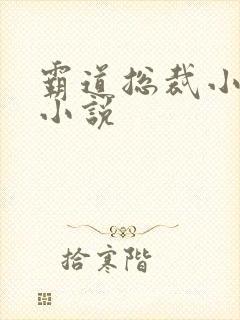 霸道总裁小娇妻小说