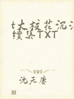 t大校花沉浮录续集TXT