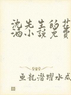 沈先生的花式调酒小说免费阅读