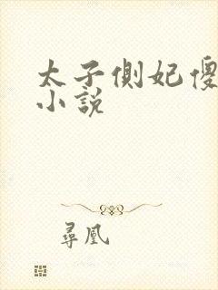 太子侧妃傻乎乎小说