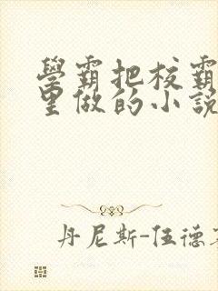 学霸把校霸往死里做的小说