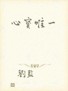 心宝唯一