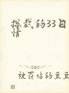 总裁的33日索情