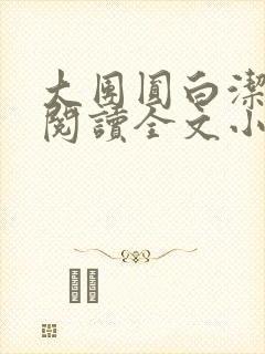 大团圆白洁免费阅读全文小说