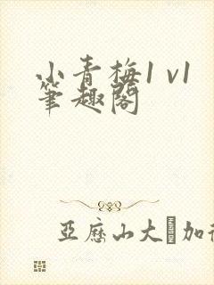 小青梅1 v1笔趣阁