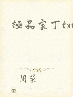 极品家丁txt