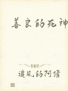 善良的死神小说