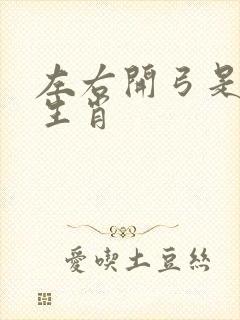 左右开弓是什么生肖