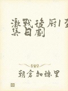 激战后厨1至5集日剧