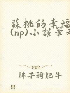 苏桃的幸福生活(np)小说笔趣阁