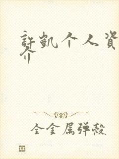 许凯个人资料简介