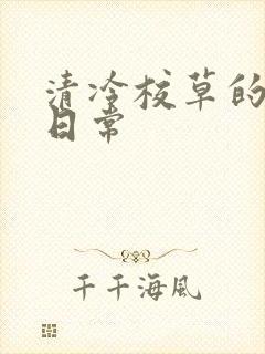 清冷校草的抹布日常