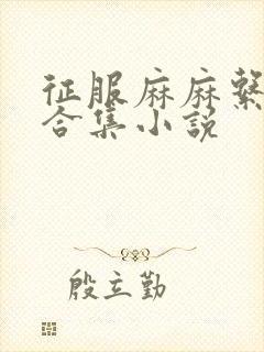 征服麻麻系列大合集小说