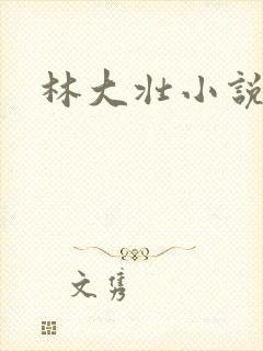 林大壮小说阅读