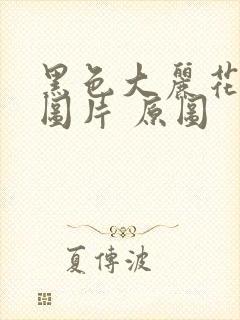 黑色大丽花真实图片 原图