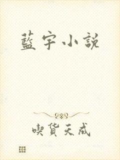 蓝宇小说