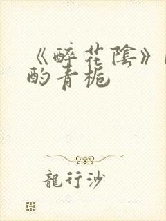 《醉花阴》by酌青栀