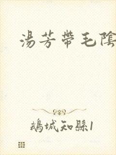 汤芳带毛阴部