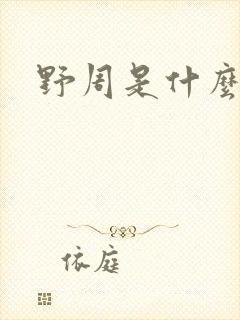 野周是什么意思