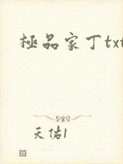 极品家丁txt