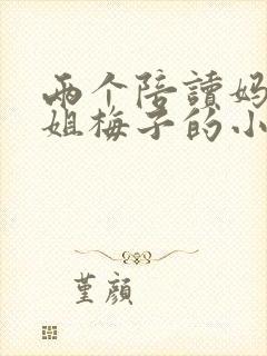 两个陪读妈妈赵姐梅子的小说