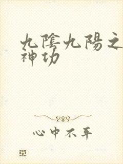 九阴九阳之阴阳神功