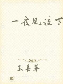 一夜风流下载