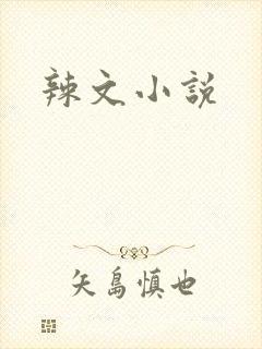 辣文小说