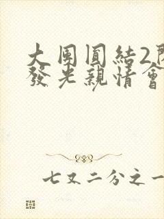 大团圆结2闪闪发光亲情会