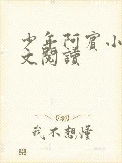 少年阿宾小说全文阅读