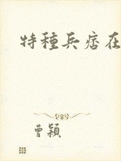 特种兵痞在都市