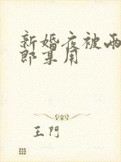 新婚夜被两个伴郎享用